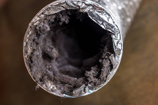 Best Emergency Air Duct Cleaning  in Washington, NC