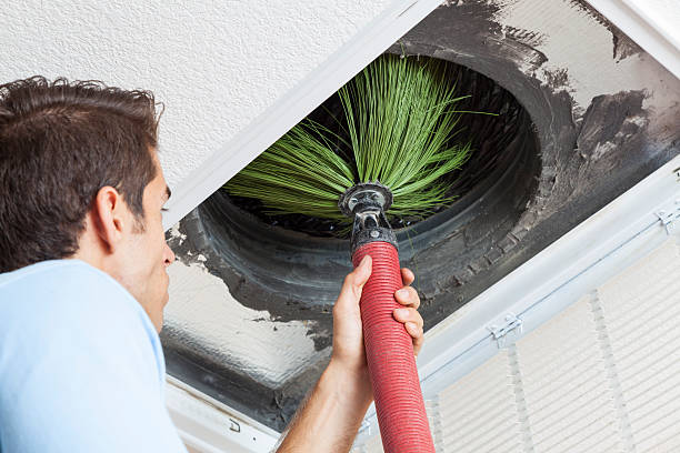 Best HVAC System Cleaning  in Washington, NC